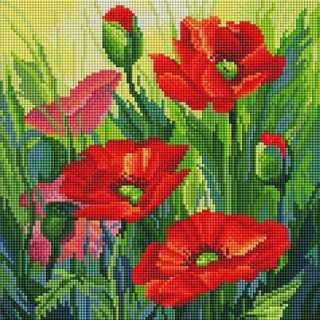 Алмазная вышивка «Красные маки» Алмазная вышивка «Красные маки»