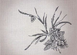 Набор для вышивания «Клубника» Набор для вышивания «Клубника»