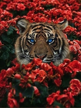 Алмазная вышивка «Тигр в цветах»