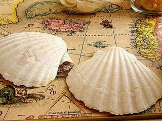 Алмазная вышивка «Ракушки на карте» Алмазная вышивка «Ракушки на карте»