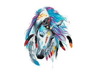Картина по номерам «Индейская лошадь»