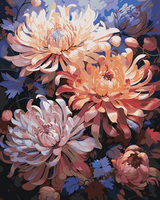 Картина по номерам «Цветы: Необычные хризантемы»