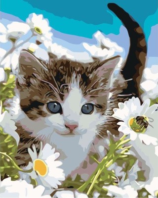 Картина по номерам «Котёнок среди ромашек»