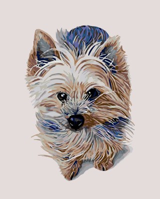 Картина по номерам «Фидель» Картина по номерам «Фидель»