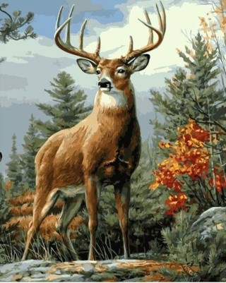 Картина по номерам «Лесной олень» Картина по номерам «Лесной олень»