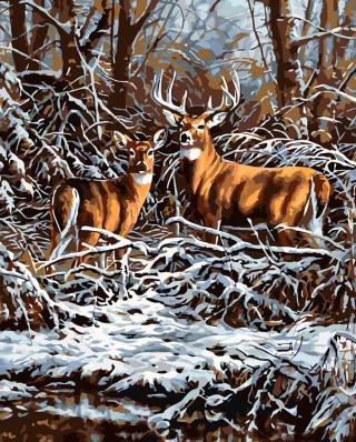 Картина по номерам «Зима в лесу»