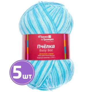 Пряжа из Троицка Pchelka (4333), секционный, 5 шт. по 100 г Пряжа из Троицка Pchelka (4333), секционный, 5 шт. по 100 г