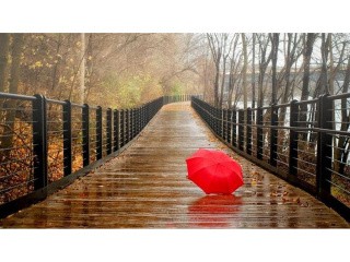 Алмазная вышивка «Красный зонтик» Алмазная вышивка «Красный зонтик»