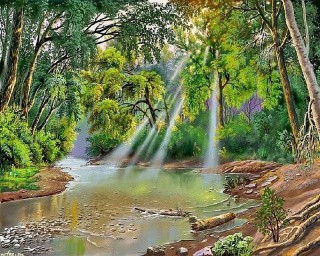 Картина по номерам «Свет в лесу»