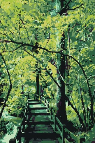 Картина по номерам «Деревянный мост»