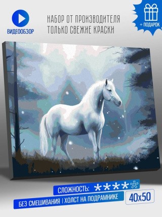 Картина по номерам «Белая лошадь и первый снег»