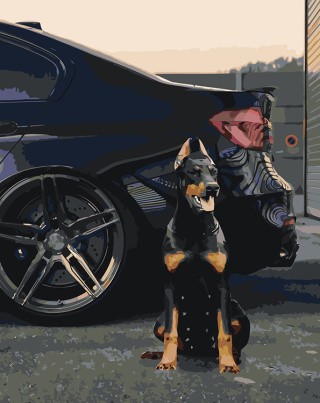 Картина по номерам «Машина BMW и собака доберман 40х50»