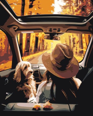 Картина по номерам «Девушка и собака едут в машине по осеннему лесу»