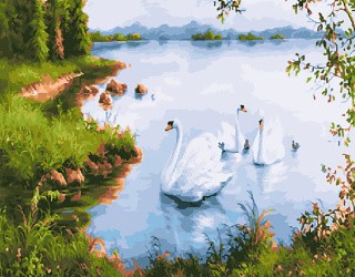 Картина по номерам «Белые лебеди»