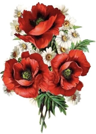 Рисунок на ткани «Маковый букет» Рисунок на ткани «Маковый букет»