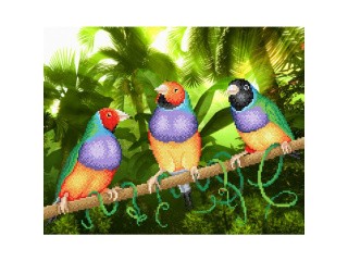 Рисунок на габардине «Три попугая»