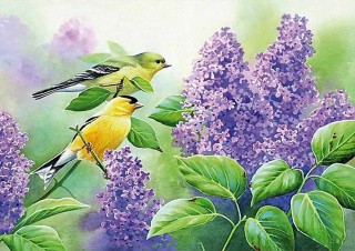 Рисунок на ткани «Чижи в сирени» Рисунок на ткани «Чижи в сирени»