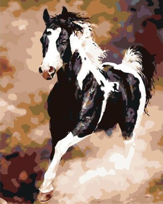 Картина по номерам «Скачущий конь»