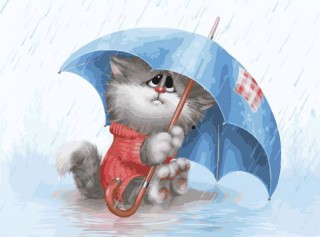 Картина по номерам «Кошарик под дождём»