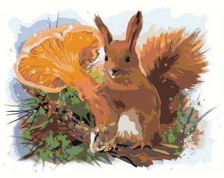 Картина по номерам «Белочка с лисичкой» Картина по номерам «Белочка с лисичкой»