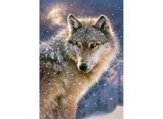 Пазлы «Одинокий волк»