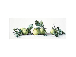 Набор для вышивания «Натюрморт с яблоками»