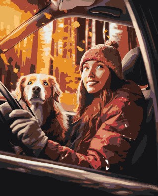 Картина по номерам «Девушка и собака едут в машине по осеннему лесу 2»