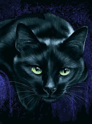 Картина по номерам «Гипнотический взгляд» Картина по номерам «Гипнотический взгляд»