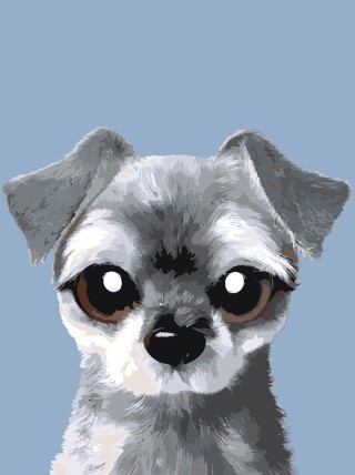 Картина по номерам «Щенок Оби» Картина по номерам «Щенок Оби»