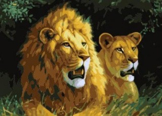 Алмазная вышивка «Львиная семья» Алмазная вышивка «Львиная семья»