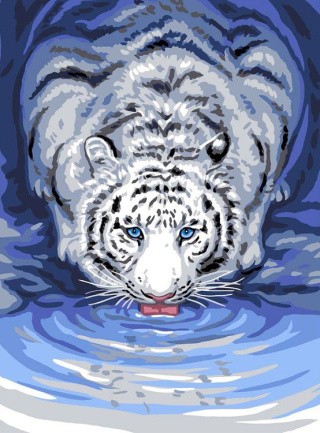 Рисунок на ткани «Белый тигр у воды»