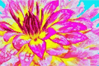 Алмазная вышивка «Утренняя свежесть»