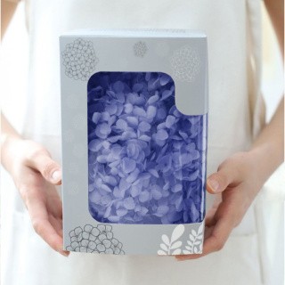 Стабилизированные цветы Гортензии (фиолетовые), коробка
