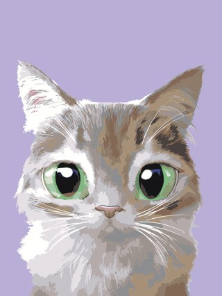 Картина по номерам «Котенок Принц» Картина по номерам «Котенок Принц»