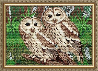 Алмазная вышивка «Совы» Алмазная вышивка «Совы»