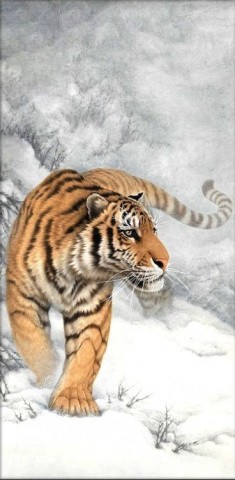Алмазная вышивка «Тигр зимой»