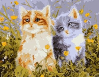 Картина по номерам «Котята» Картина по номерам «Котята»