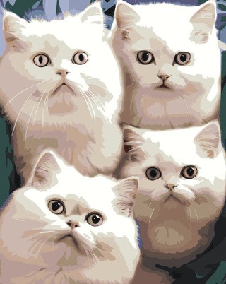 Картина по номерам «Четыре белых кота»