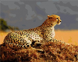 Картина по номерам «Гепард» Картина по номерам «Гепард»