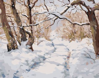 Картина по номерам «Зима: Пейзаж с дорожкой в заснеженном лесу»