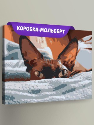 Картина по номерам «Канадский сфинкс» Картина по номерам «Канадский сфинкс»