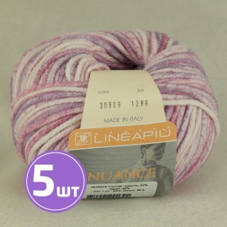 Пряжа LineaPIU NUANCE (30909), мультиколор, 5 шт. по 50 г Пряжа LineaPIU NUANCE (30909), мультиколор, 5 шт. по 50 г