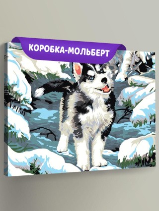 Картина по номерам «Щенок хаски»