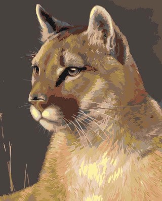 Картина по номерам «Пума» Картина по номерам «Пума»