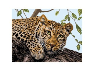 Рисунок на канве «Леопард»