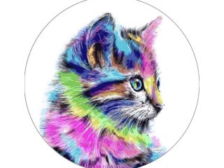 Набор для вышивания «Разноцветная кошка»