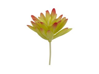Декоративные элементы «Суккулент», 5x9 см, 1 шт., Blumentag Декоративные элементы «Суккулент», 5x9 см, 1 шт., Blumentag