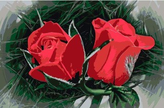 Картина по номерам «Роскошные розы»
