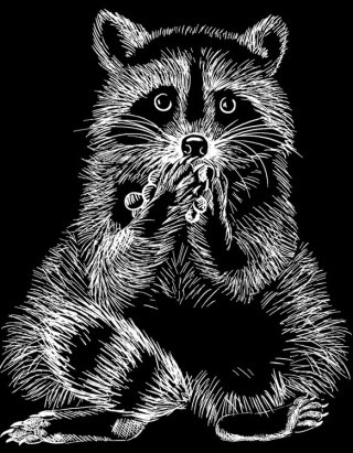 Набор для творчества «Гравюра. Енот», 20x25,5 см, Hobbius Набор для творчества «Гравюра. Енот», 20x25,5 см, Hobbius