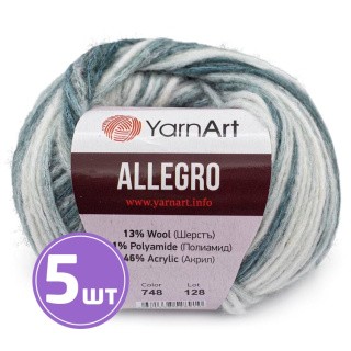 Пряжа YarnArt Allegro (748), мультиколор, 5 шт. по 50 г